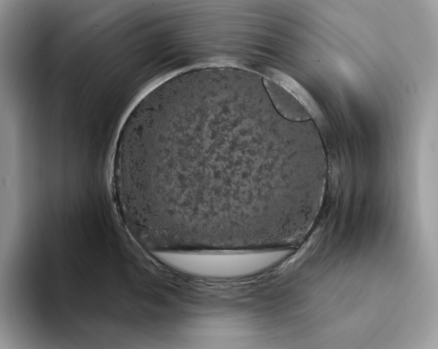 X0000094191052200711091157