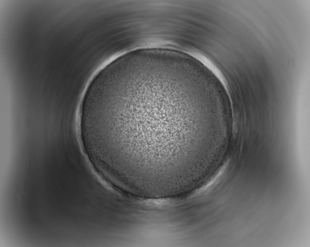 X0000094191053200711091157