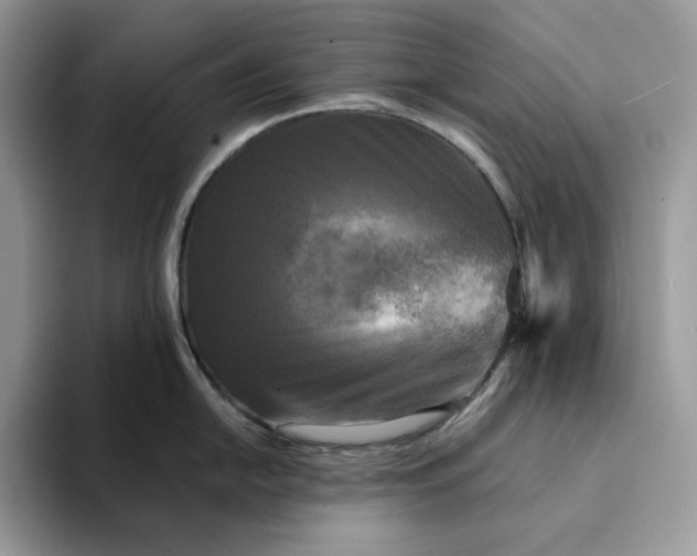 X0000094191054200711091157