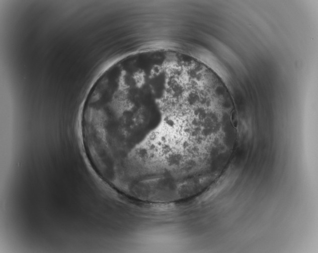 X0000094191055200711091157