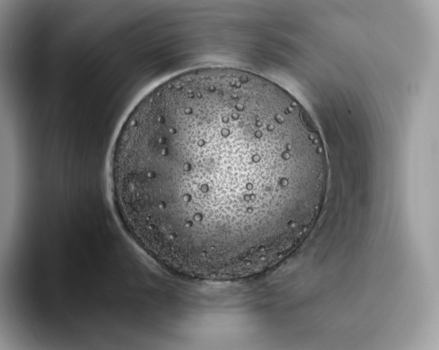 X0000094191056200711091157