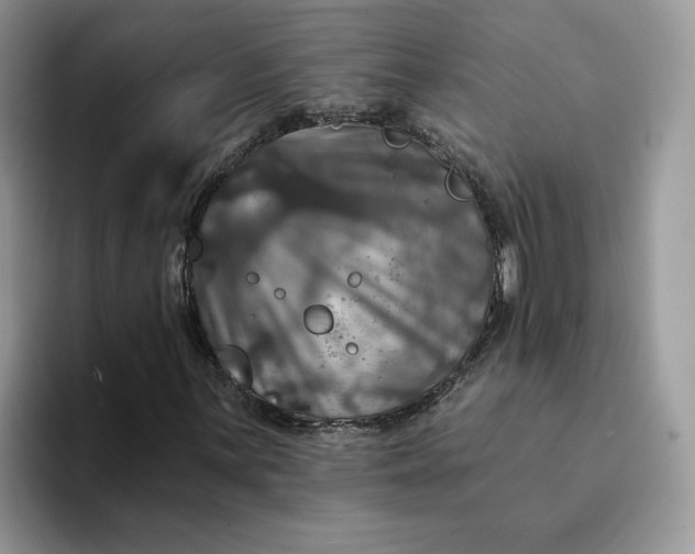 X0000094191059200711091157