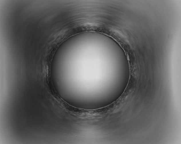 X0000094191061200711091157