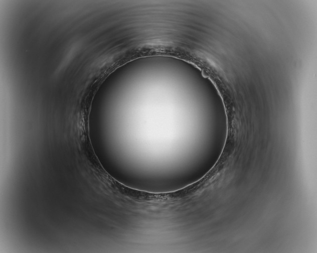 X0000094191062200711091157