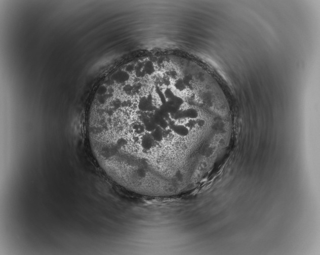 X0000094191063200711091157