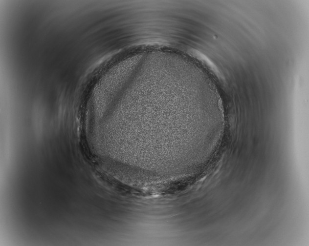 X0000094191064200711091157