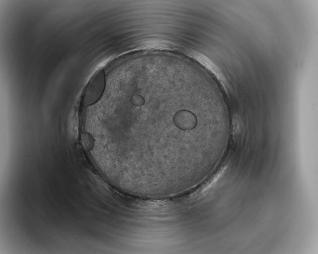 X0000094191067200711091157