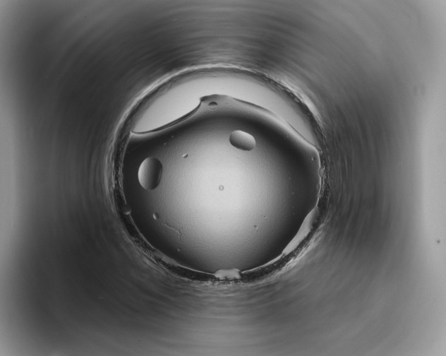 X0000094191069200711091157