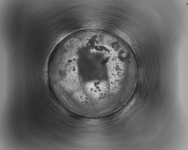 X0000094191071200711091157