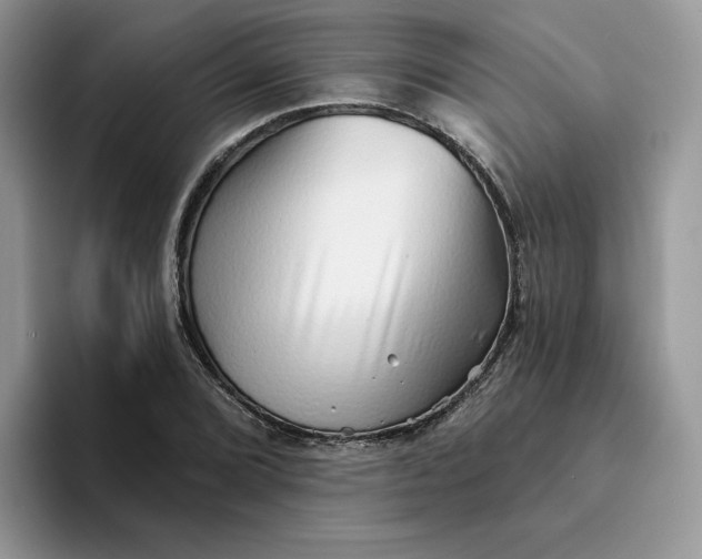 X0000094191072200711091157