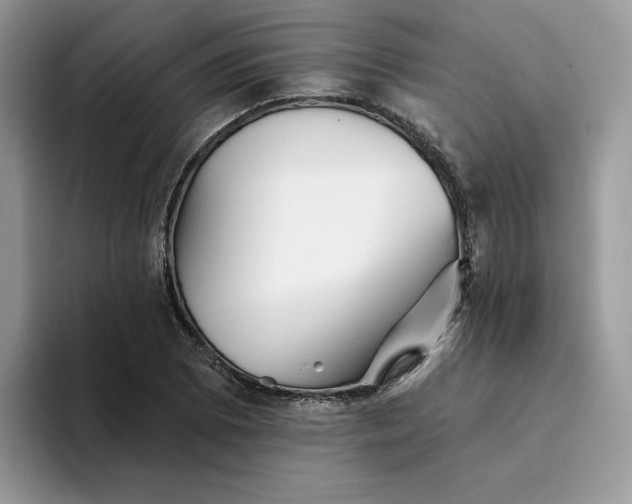 X0000094191073200711091157