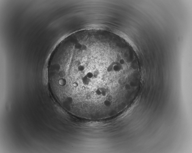 X0000094191075200711091157