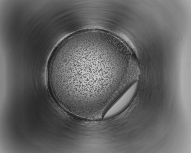 X0000094191076200711091157