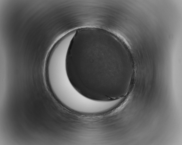 X0000094191077200711091157