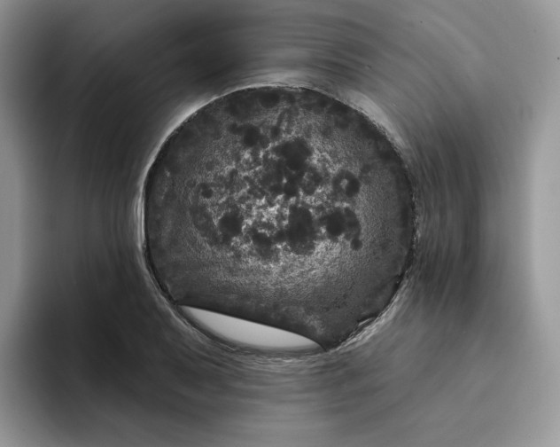 X0000094191079200711091157