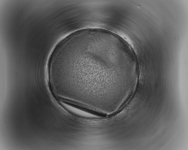 X0000094191080200711091157