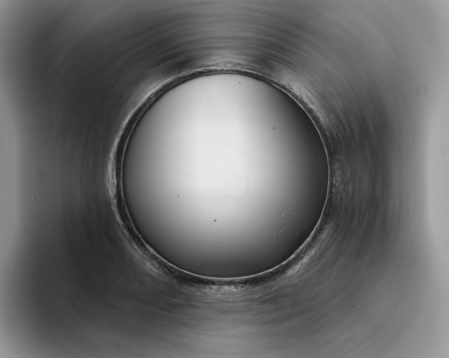 X0000094191082200711091157