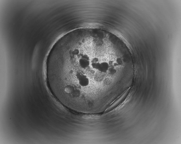 X0000094191083200711091157