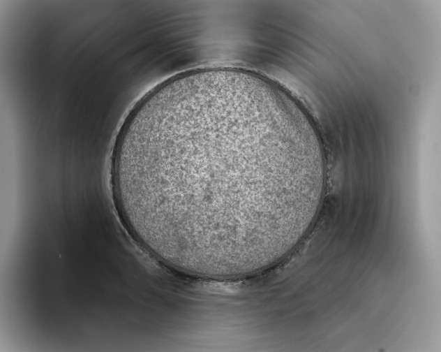 X0000094191086200711091157