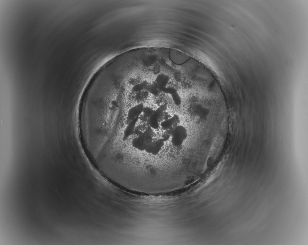 X0000094191087200711091157