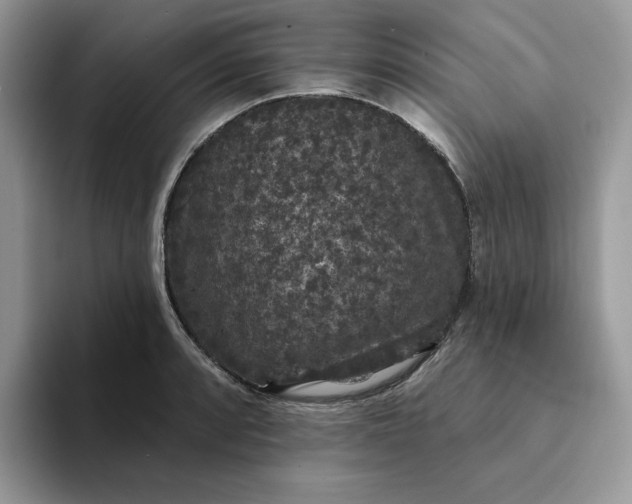 X0000094191088200711091157