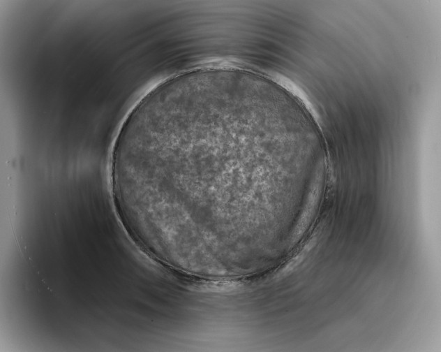 X0000094191090200711091156