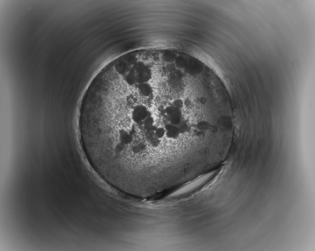 X0000094191091200711091156