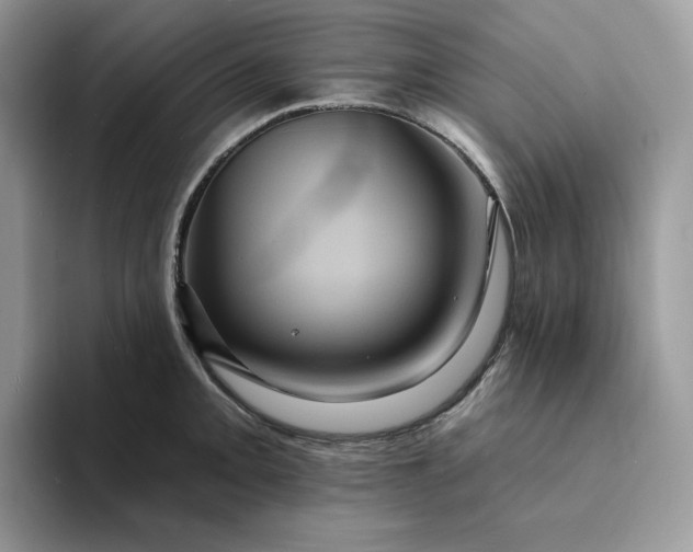 X0000094191093200711091156