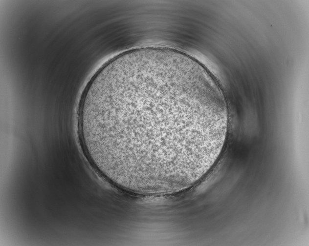 X0000094191094200711091156