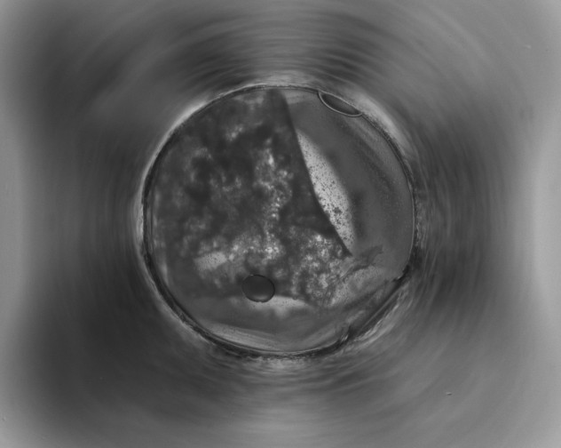 X0000094191095200711091156