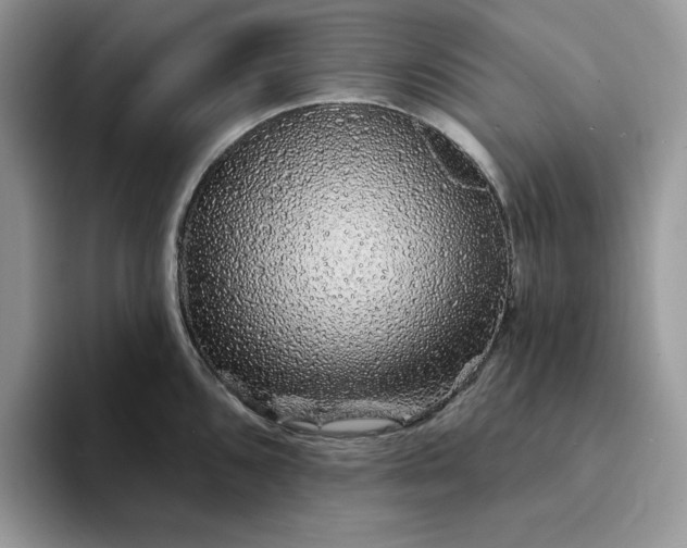 X0000094191096200711091156