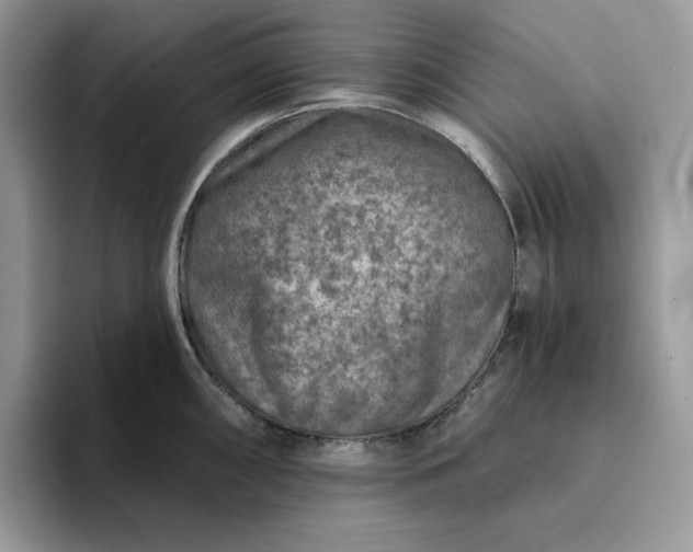 X0000094191098200711091156