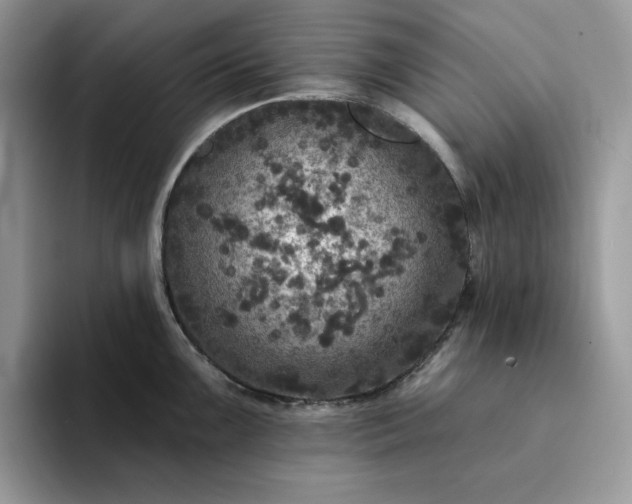 X0000094191099200711091156