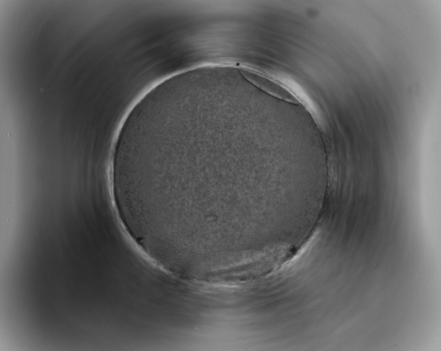 X0000094191100200711091156