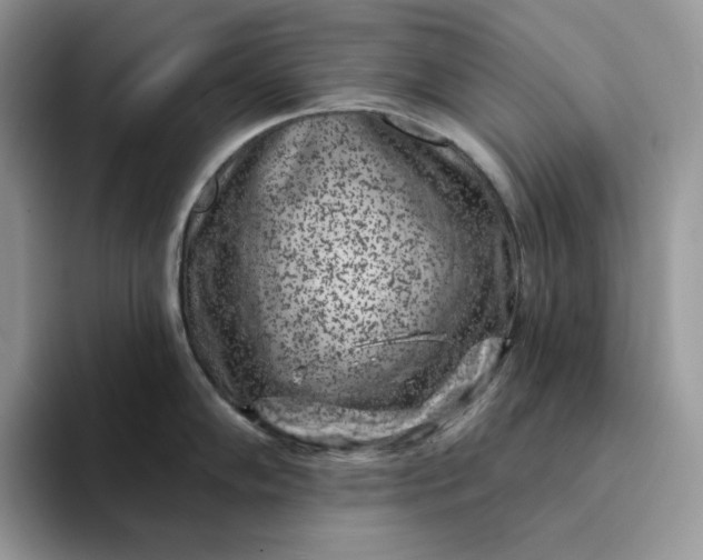 X0000094191102200711091156