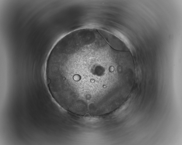 X0000094191103200711091156