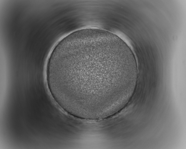 X0000094191104200711091156