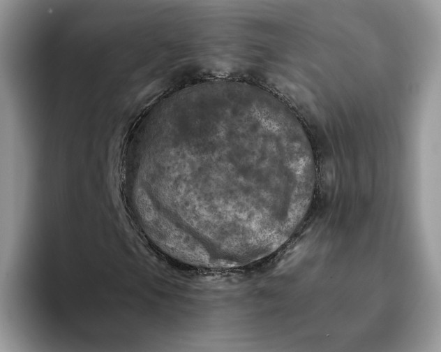 X0000094191105200711091156