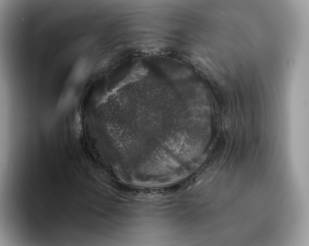 X0000094191106200711091156