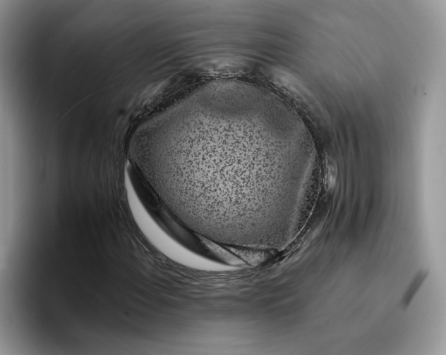 X0000094191108200711091156