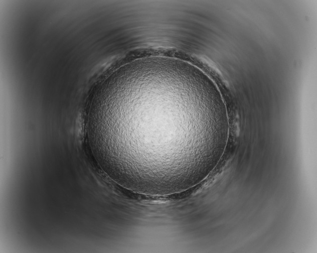 X0000094191110200711091156