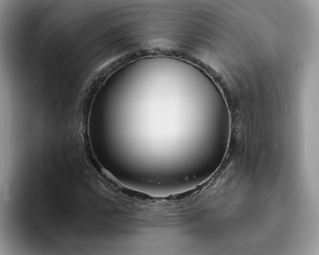 X0000094191112200711091156