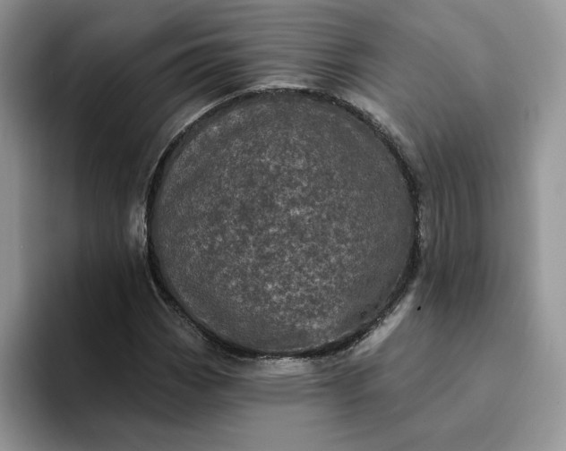 X0000094191113200711091156