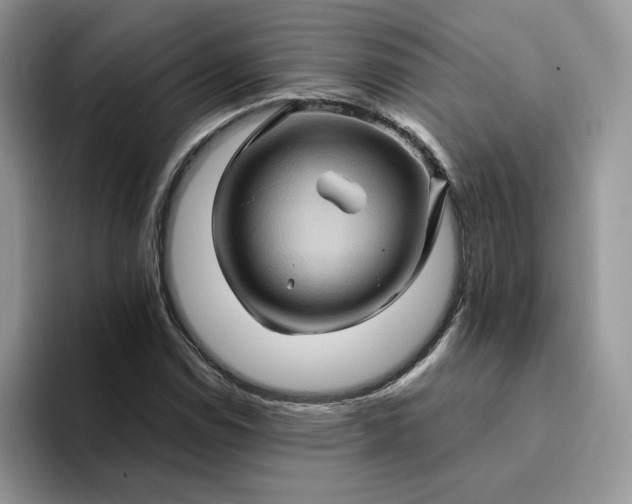 X0000094191114200711091156