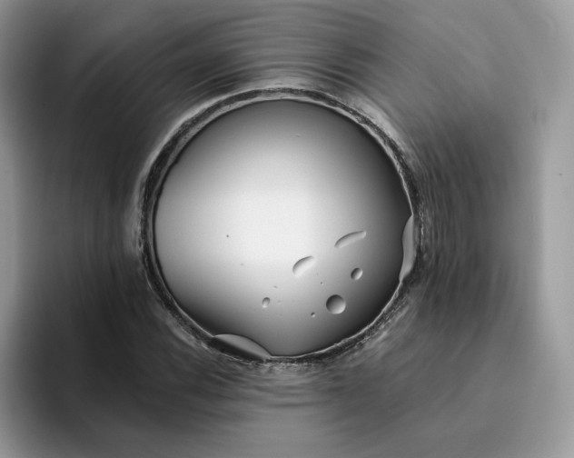 X0000094191116200711091156