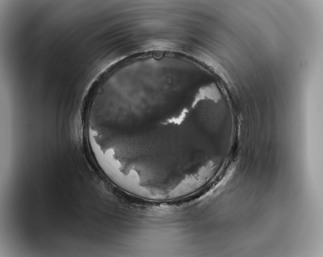 X0000094191117200711091156