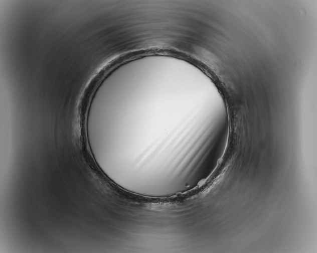 X0000094191118200711091156