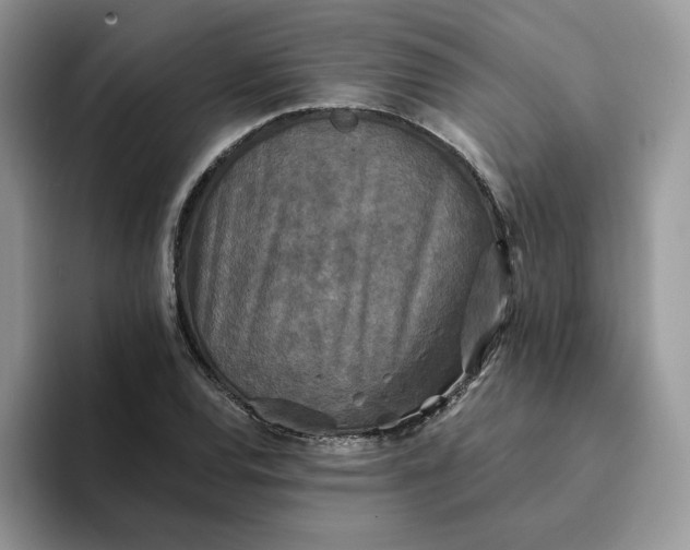 X0000094191120200711091156