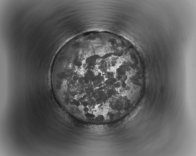 X0000094191121200711091156