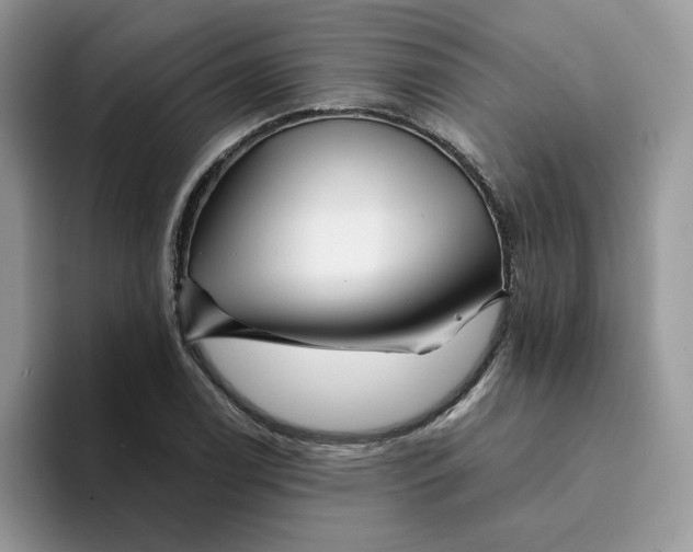 X0000094191122200711091156